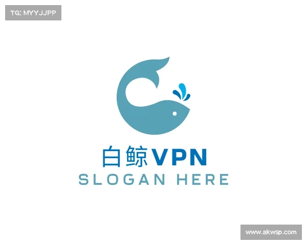 关于白鲸VPN